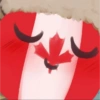 Countryballs happys uwu 8