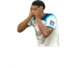 Copa do Mundo 2022 18