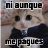 Gatos para contestar 😜 🐱 9