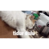 Hehehe 17