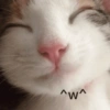 Funny cat 🐈🐈 7