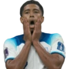 Copa do Mundo 2022 17