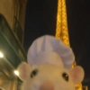 Animalitos chiquitos🫶🏻 6
