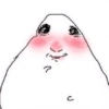 Hamster dibujo meme 5