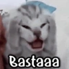 Bastaaa