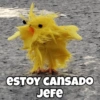 Animalitos chiquitos🫶🏻 15