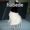 Meme jokes 26
