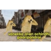 Doge Telugu stickers 12