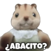 Animalitos chiquitos🫶🏻 5