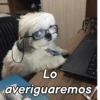 Reacciones Perrunas 2🐶✨ 7