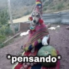 *pensando*