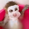 Modo spa