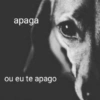 Reações. | @ocenferios  Haki. 6