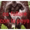 Shitpost Pa Tener Parte 1 10