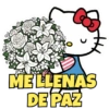 🎀Hello Kitty|Ramo Buchón💐 9