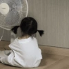 PLUSMATE