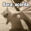 Memes do dia 🙂‍↕️✨ 8