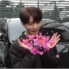 K-pop love 13