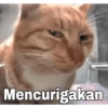 MEME KUCING🤣 6