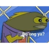 Bojong ya?
