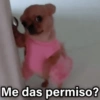 Me das permiso?