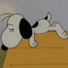 🐾 Snoopy triste 😭 4🦴 18