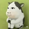 Sion Cow Meme Sapi 16