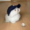 Animalitos chiquitos🫶🏻 10