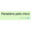 Deboches e patadas  11