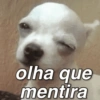 Mentira só é boa quando...  5
