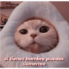 Michis tiernos hechos de amor 20