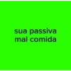 -disse o viado com raiva 18