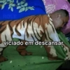 QUE PREGUIÇAAAAA 15