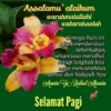 Meme fesbuk assalamualaikum 11