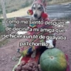 🍃🐶🧿 Perro Chamán 🧿🐶🍃 14