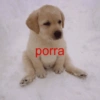 Pra qualquer assunto  15