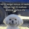 no té tengo rencor ni nada nomas no t m vuelvas acercar nunca xfa Un tal Diego