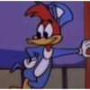 PICAPAU 15