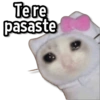 Te re pasaste