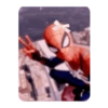 Spiderman 🕷️ 8