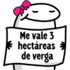 🌈 Flork Frases 4 🧦 13