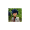 Miraculous ladybug 24