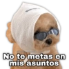 😎 RANDOM pal chat 😎💥 6