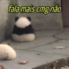 Animais fofinhos🥰💞 6