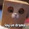 Gatitos para el chat🐾💬🐈🐈‍⬛ 11