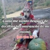 🍃🐶🧿 Perro Chamán 🧿🐶🍃 10