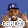 CERDAS