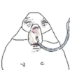 Hamster dibujo meme 23