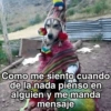🍃🐶🧿 Perro Chamán 🧿🐶🍃 6