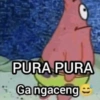 PURA PURA Ga ngaceng